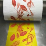 Alessandra Angelini Fase di stampa di matrice fotopolimerica su torchio calcografico realizzata nell'atelier dell'artista