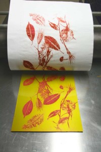Alessandra Angelini Fase di stampa di matrice fotopolimerica su torchio calcografico realizzata nell'atelier dell'artista